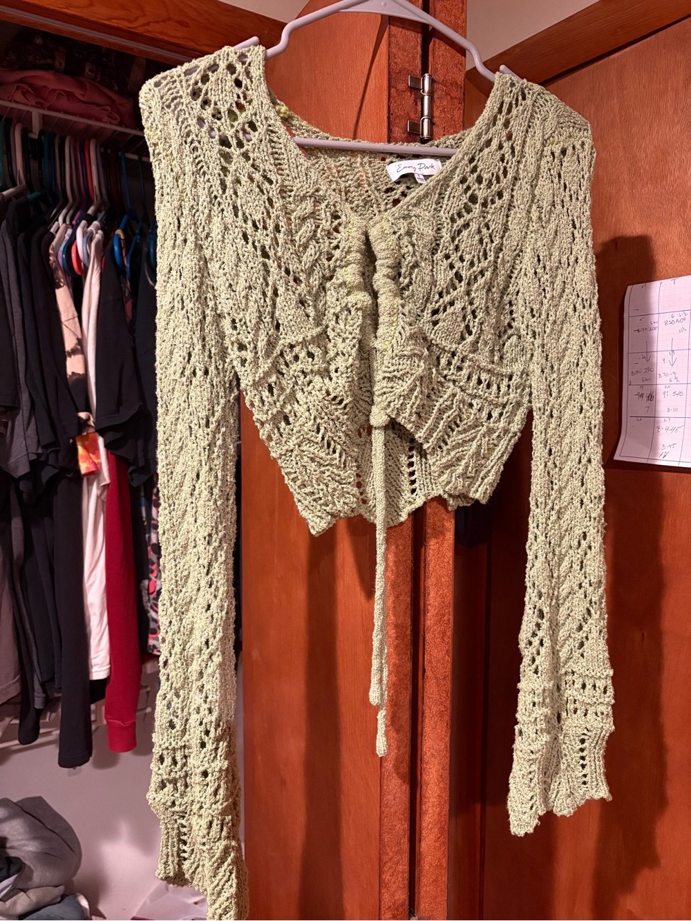 emory park Sage Green Lace Knit Tie-Front Cropped Top